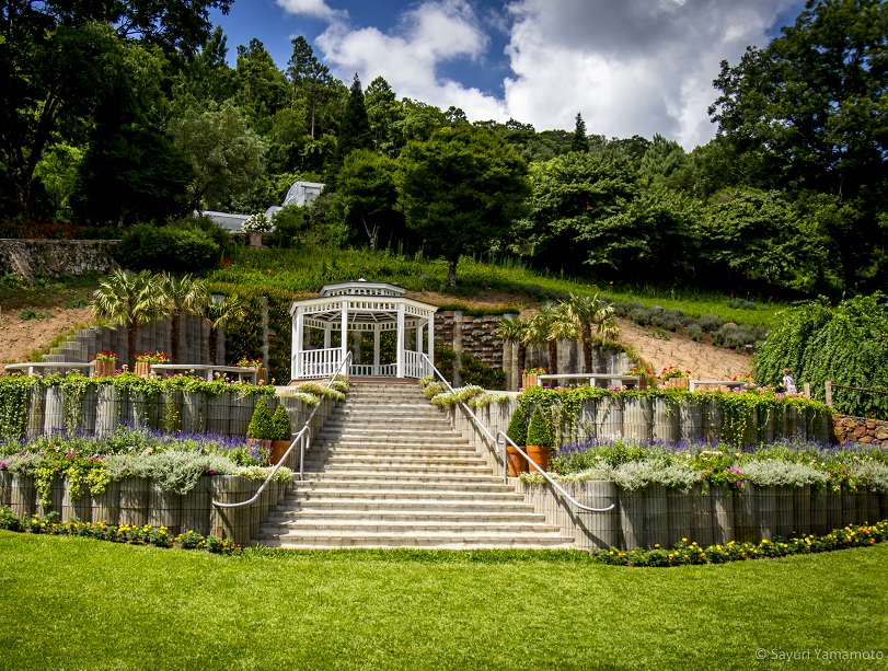 LE JARDIM PARQUE DE LAVANDA