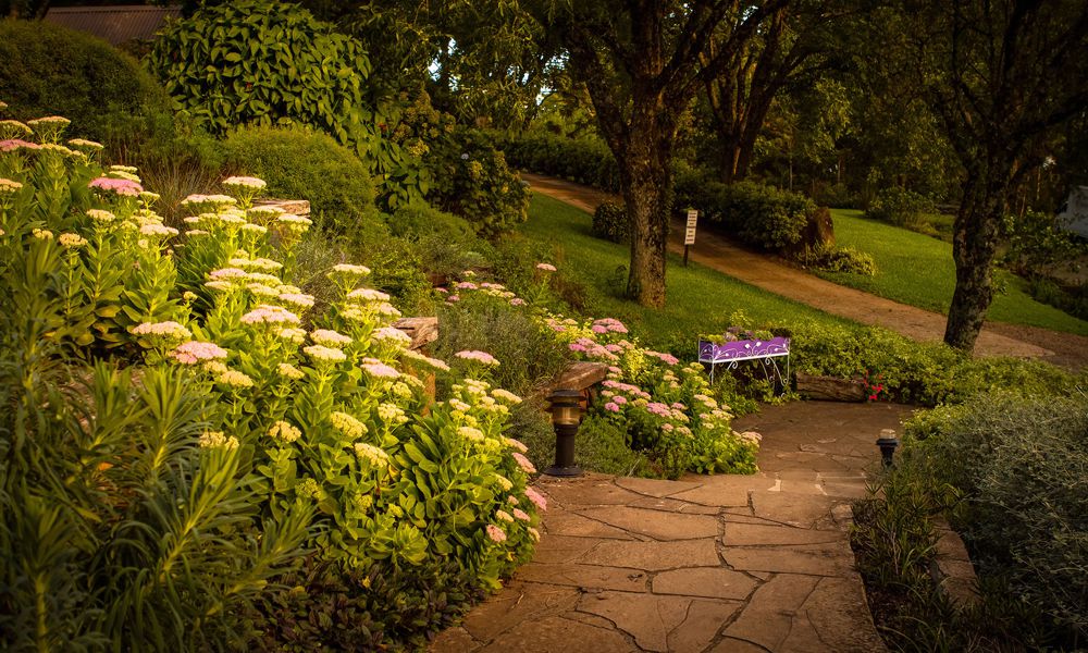 LE JARDIM PARQUE DE LAVANDA 